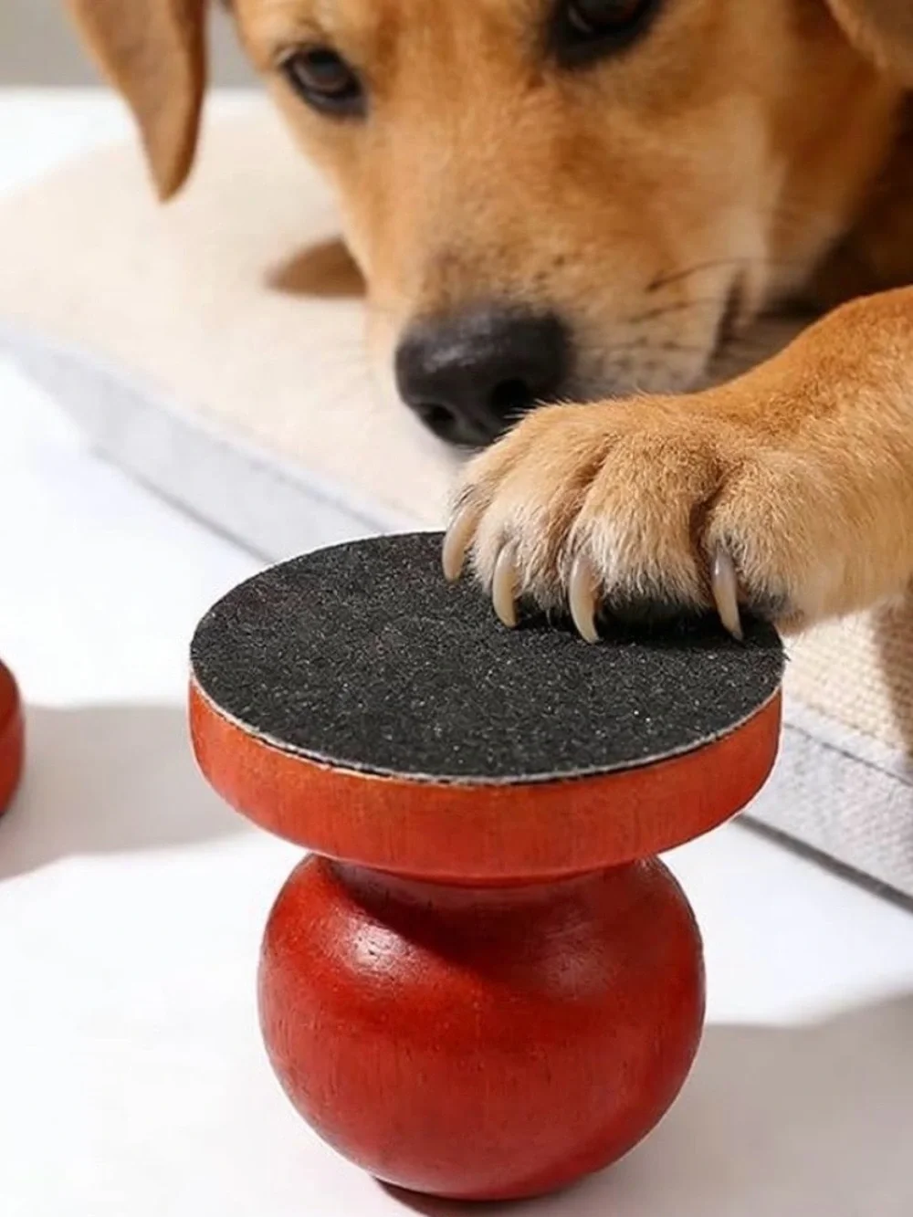 💞 New Wooden Pet Nail File for Cats & Puppy Dogs